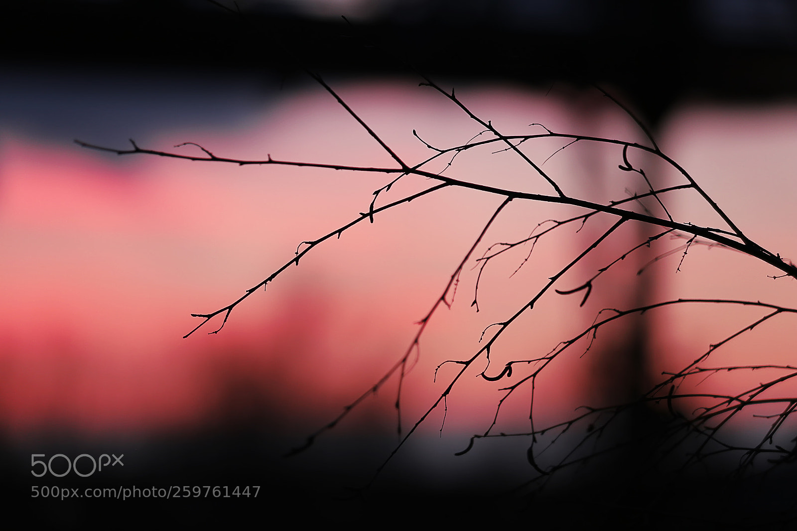 Canon EOS 6D sample photo. Zweig photography