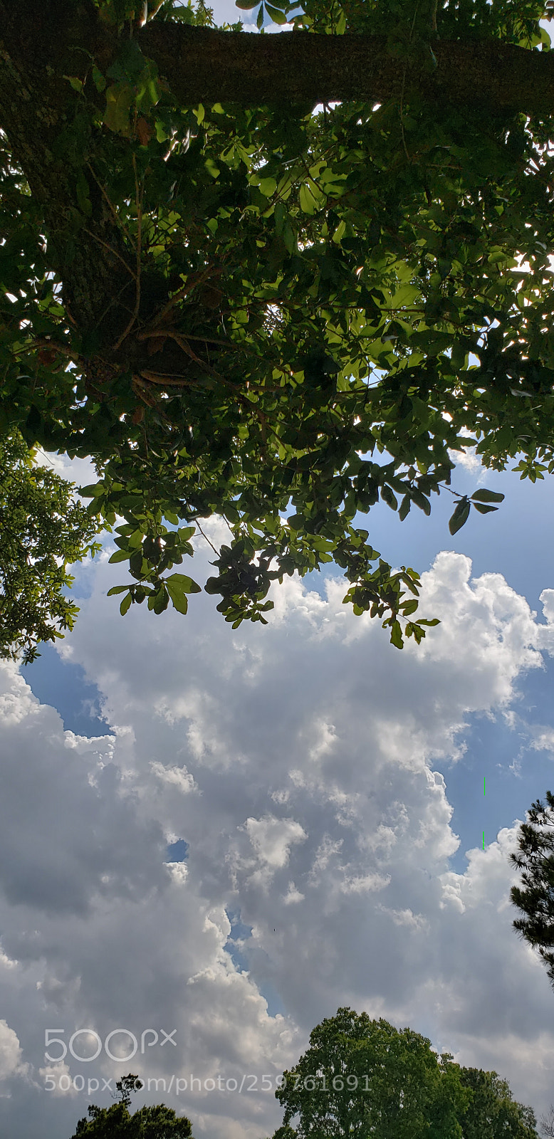 Samsung Galaxy S9 sample photo. Untitled photography