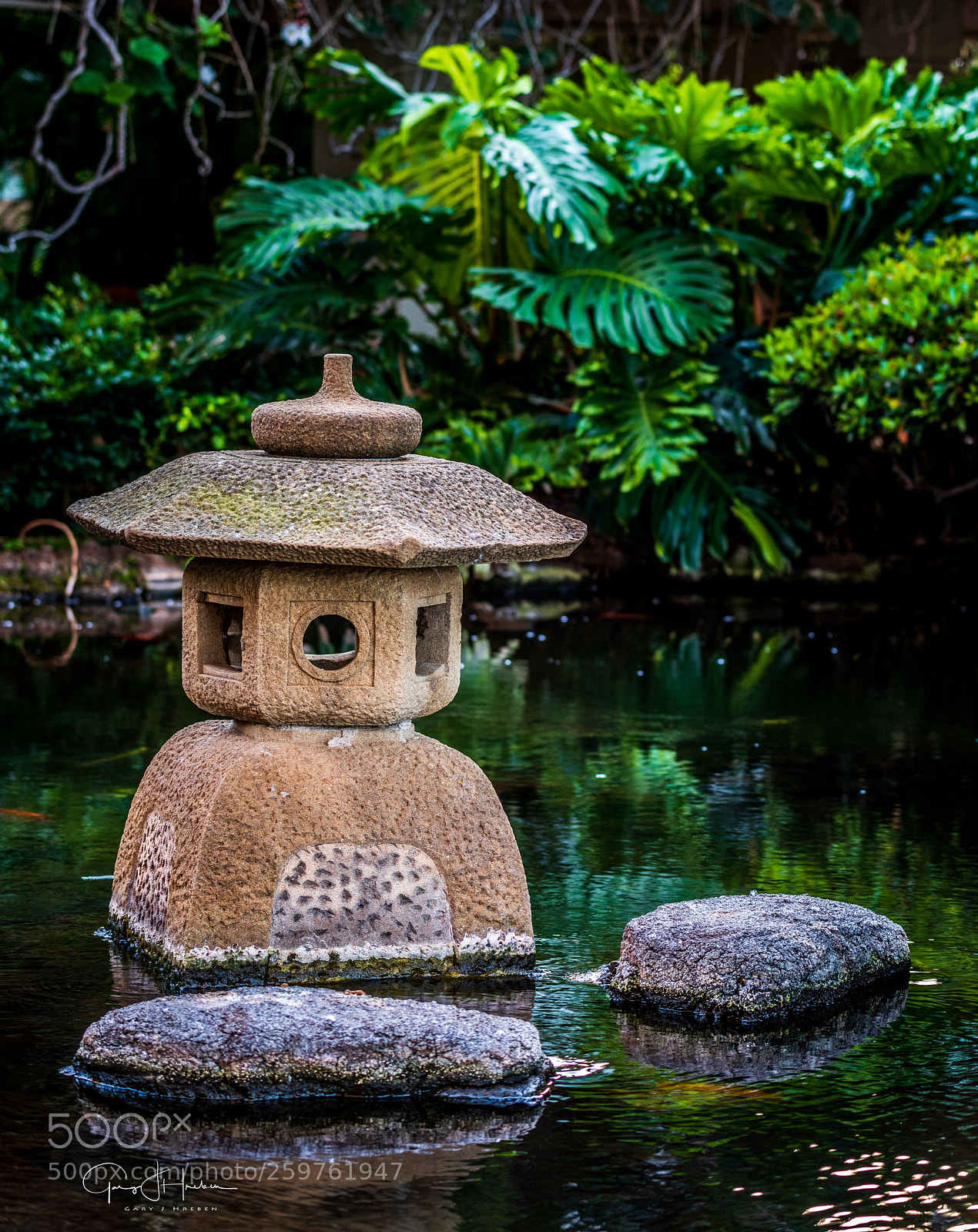 Nikon D810 sample photo. Peaceful pond photography