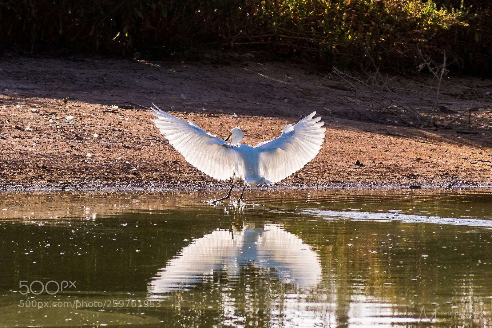 Nikon D7500 sample photo. Coming in for a photography