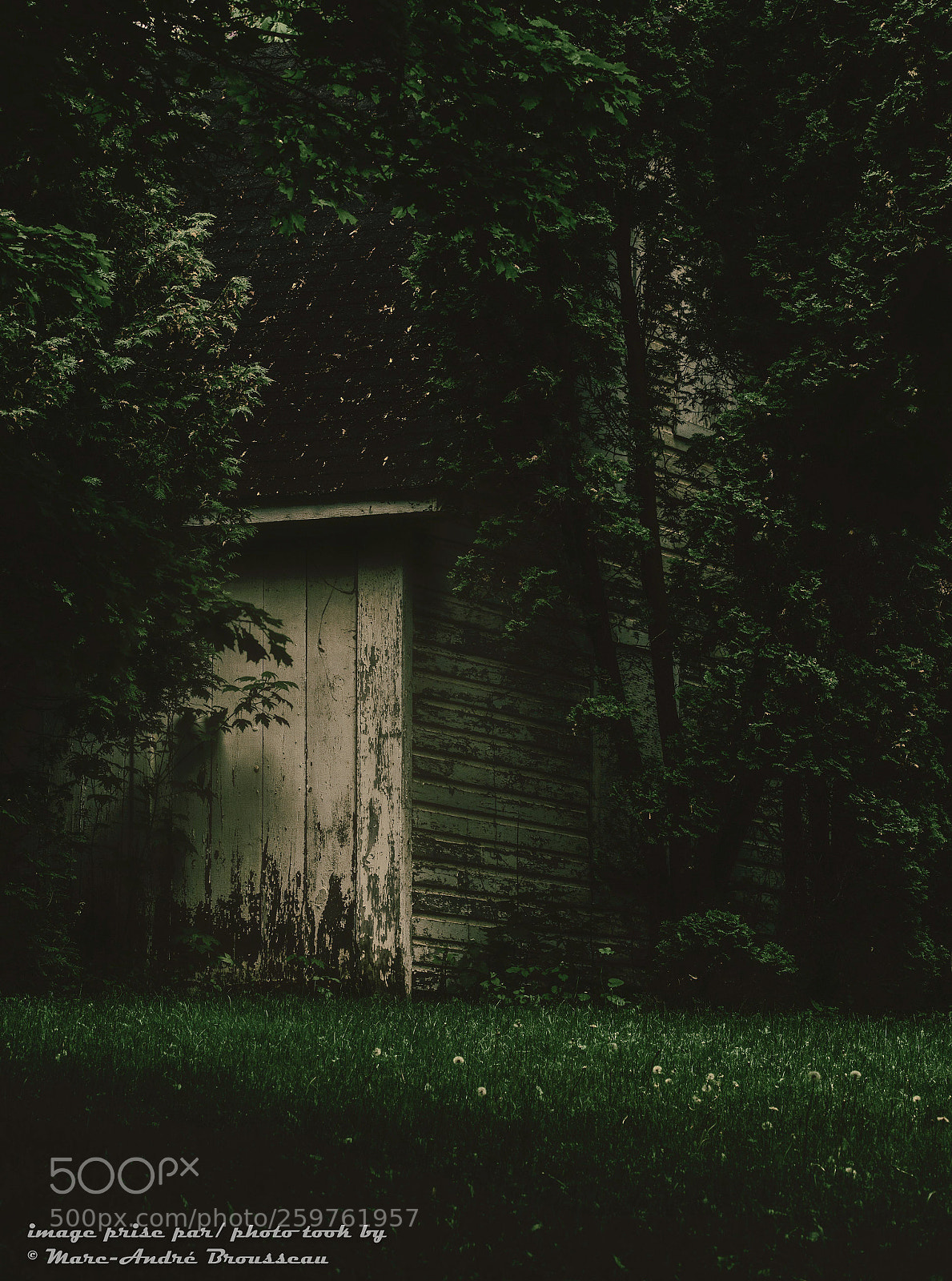 Nikon D7200 sample photo. La cabane photography