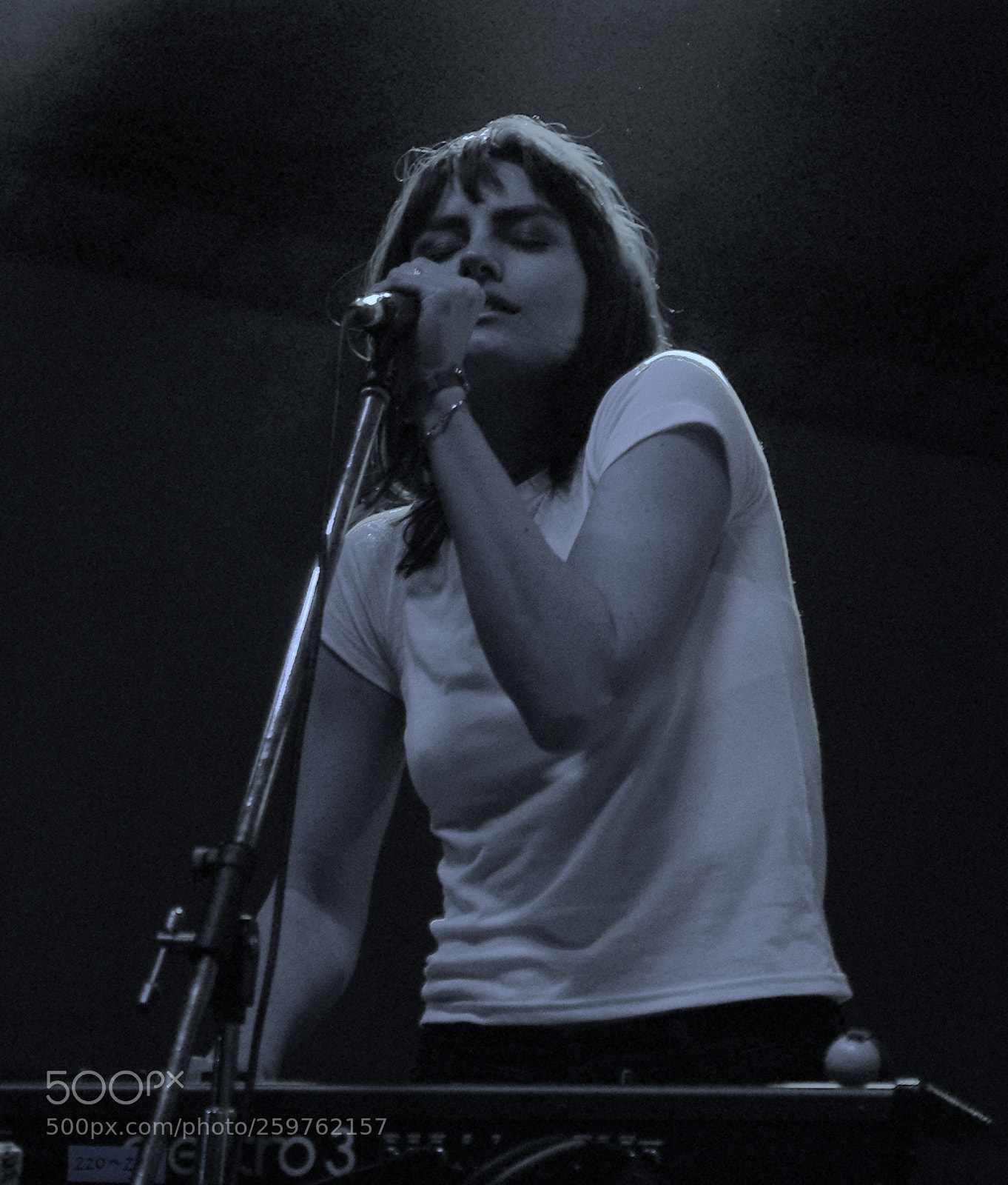 Pentax K200D sample photo. The preatures photography