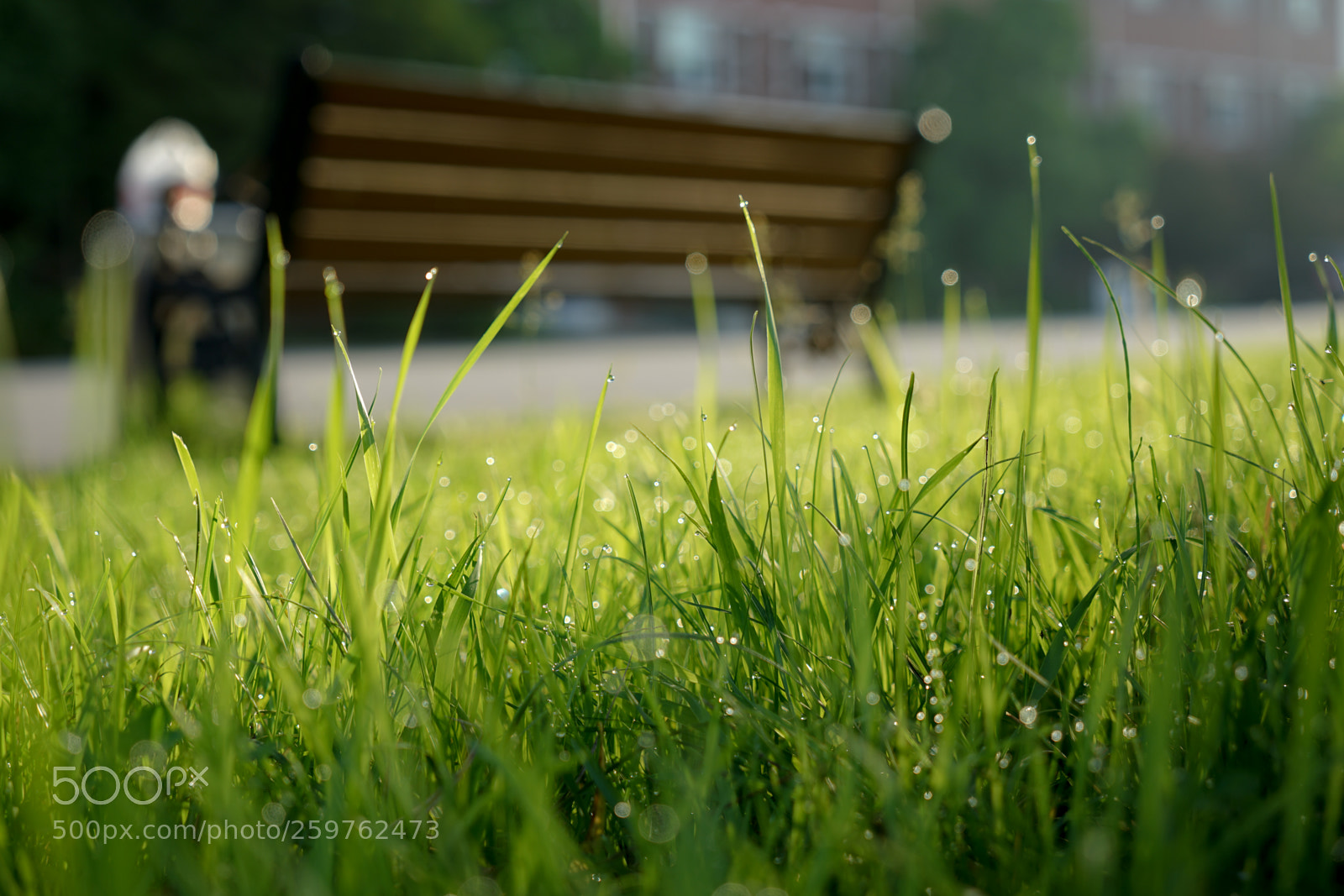Sony a7 II sample photo. Dsc photography