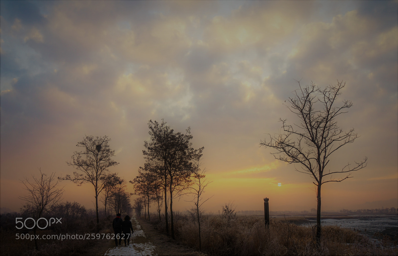 Sony a7 II sample photo. Dsc photography