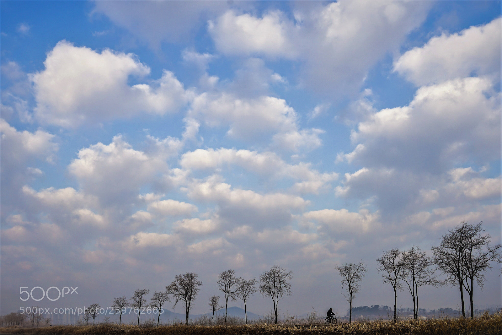 Sony a7 II sample photo. Dsc photography