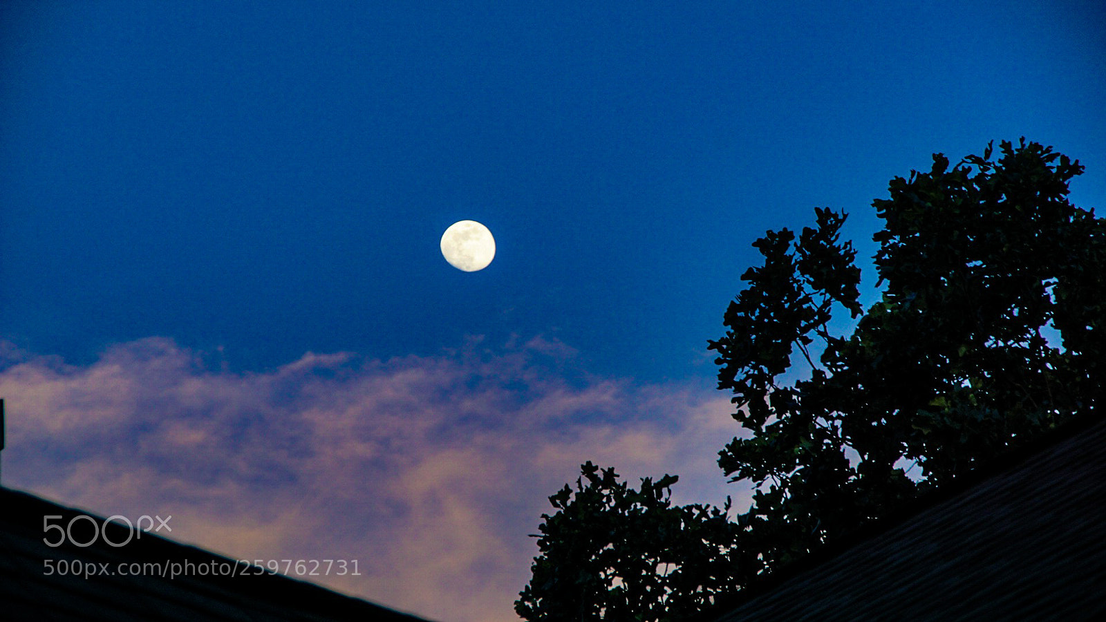 Sony a6000 sample photo. Moon clouds and trees photography
