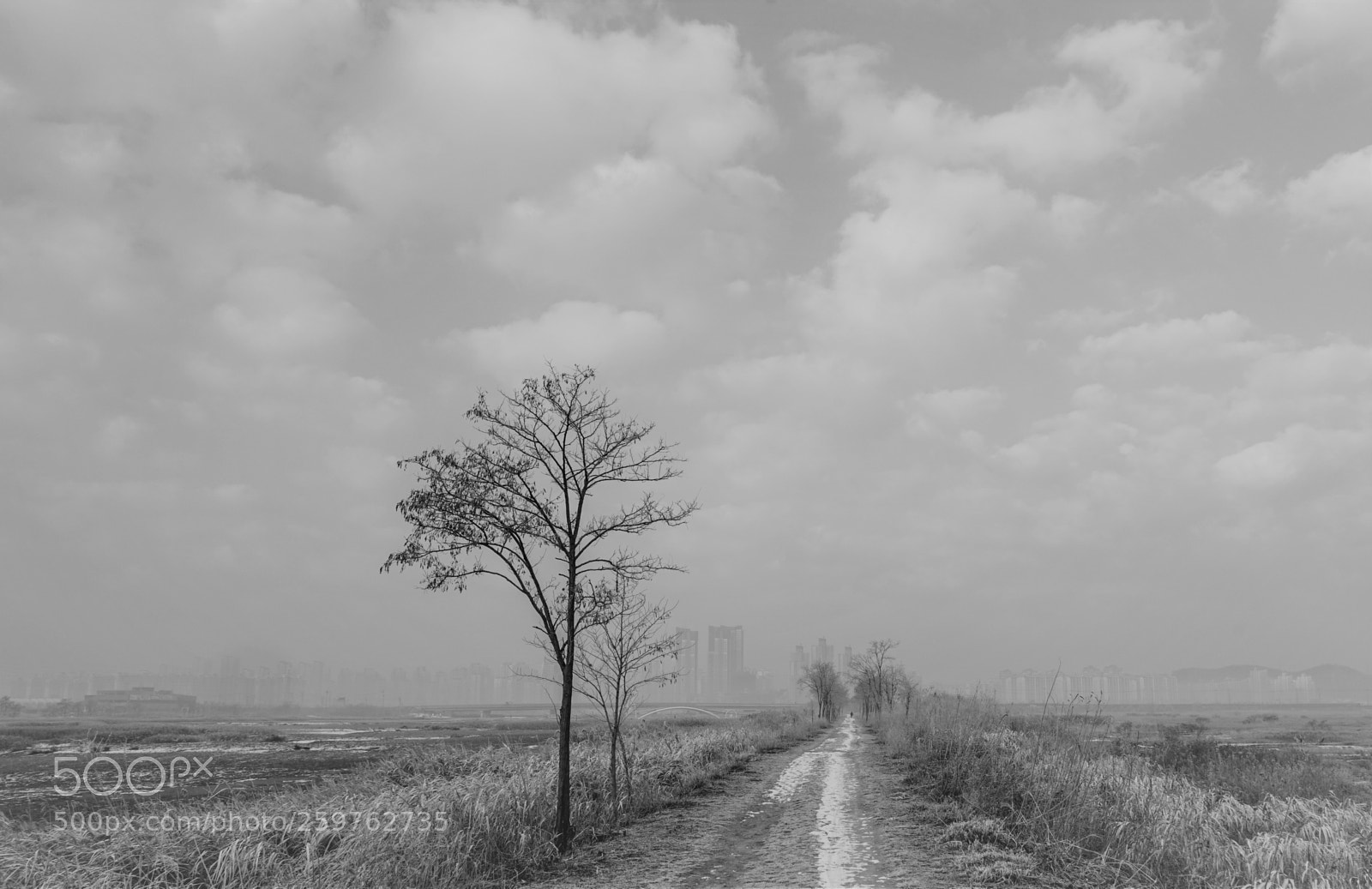 Sony a7 II sample photo. Dsc photography