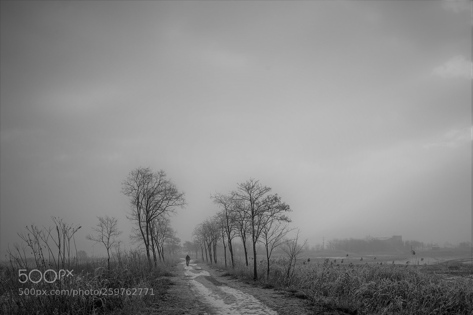 Sony a7 II sample photo. Dsc photography
