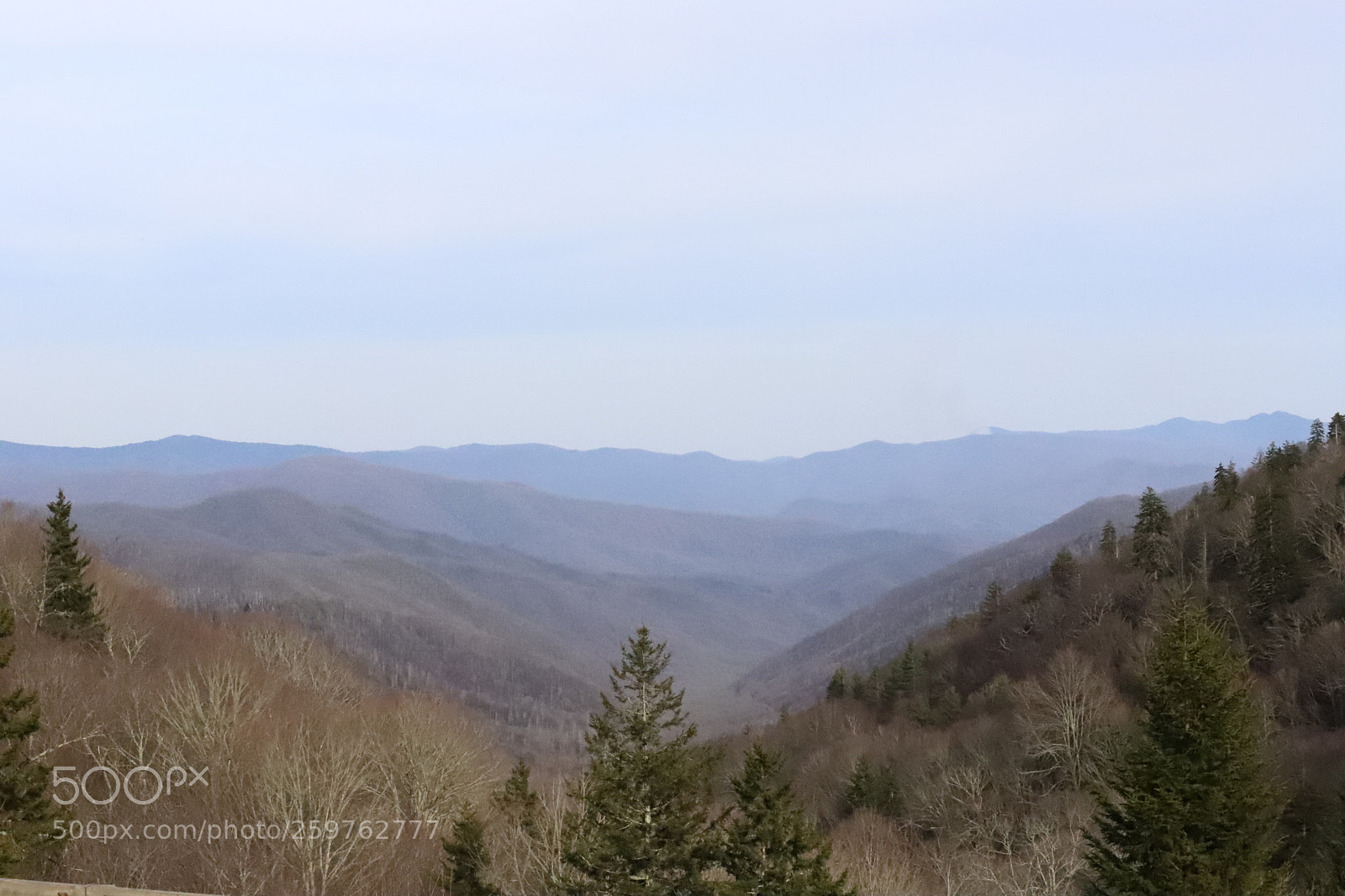 Canon EOS 6D Mark II sample photo. Smokies in april photography