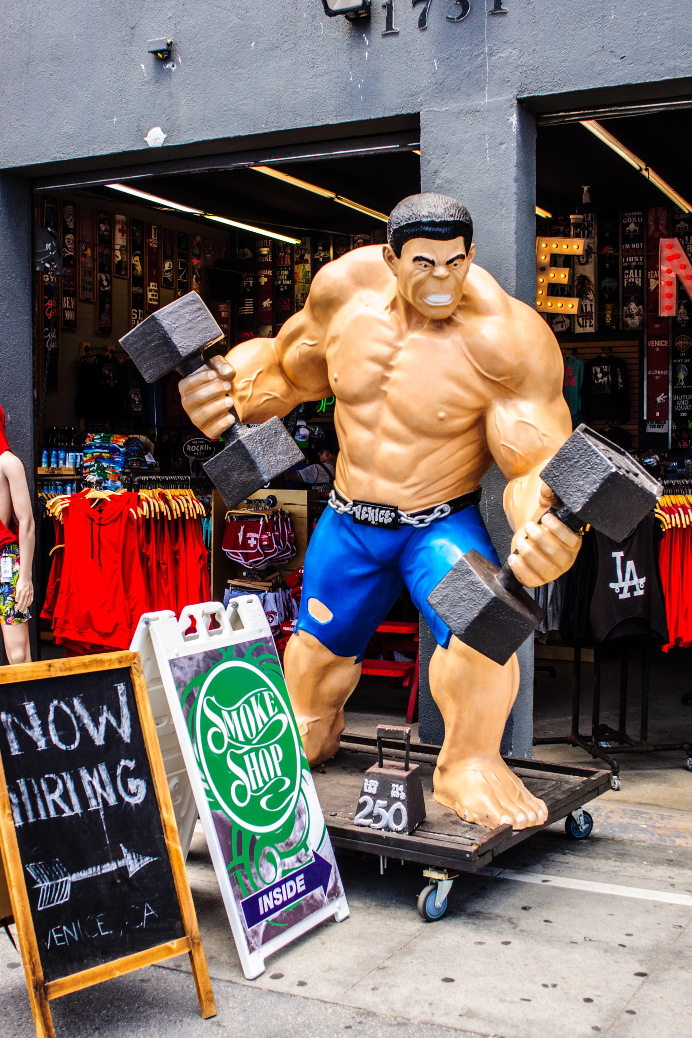 Sony SLT-A65 (SLT-A65V) sample photo. Muscle beach photography