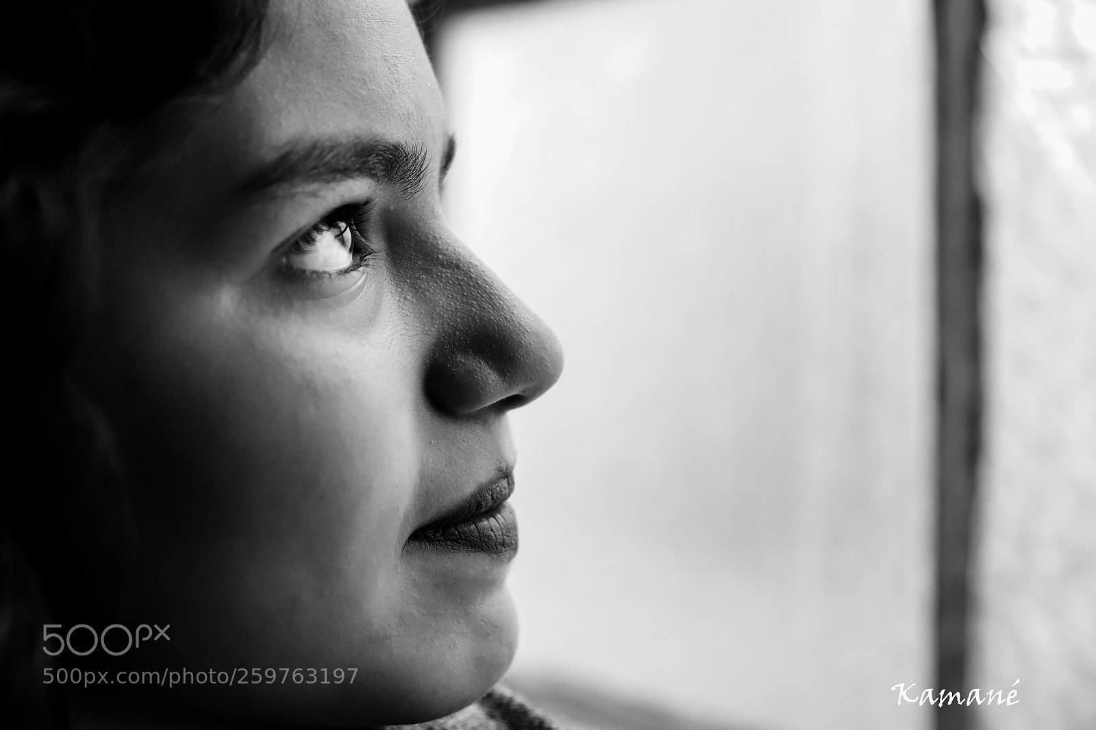 Canon EOS 6D Mark II sample photo. Are we going to photography