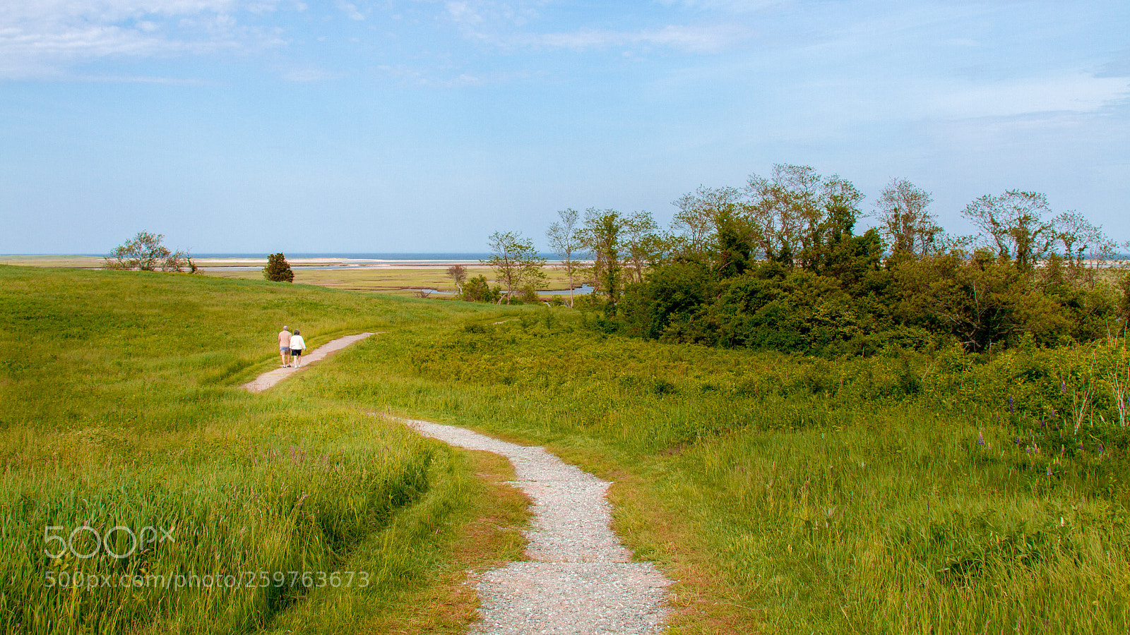 Canon EOS 7D sample photo. Eastham photography