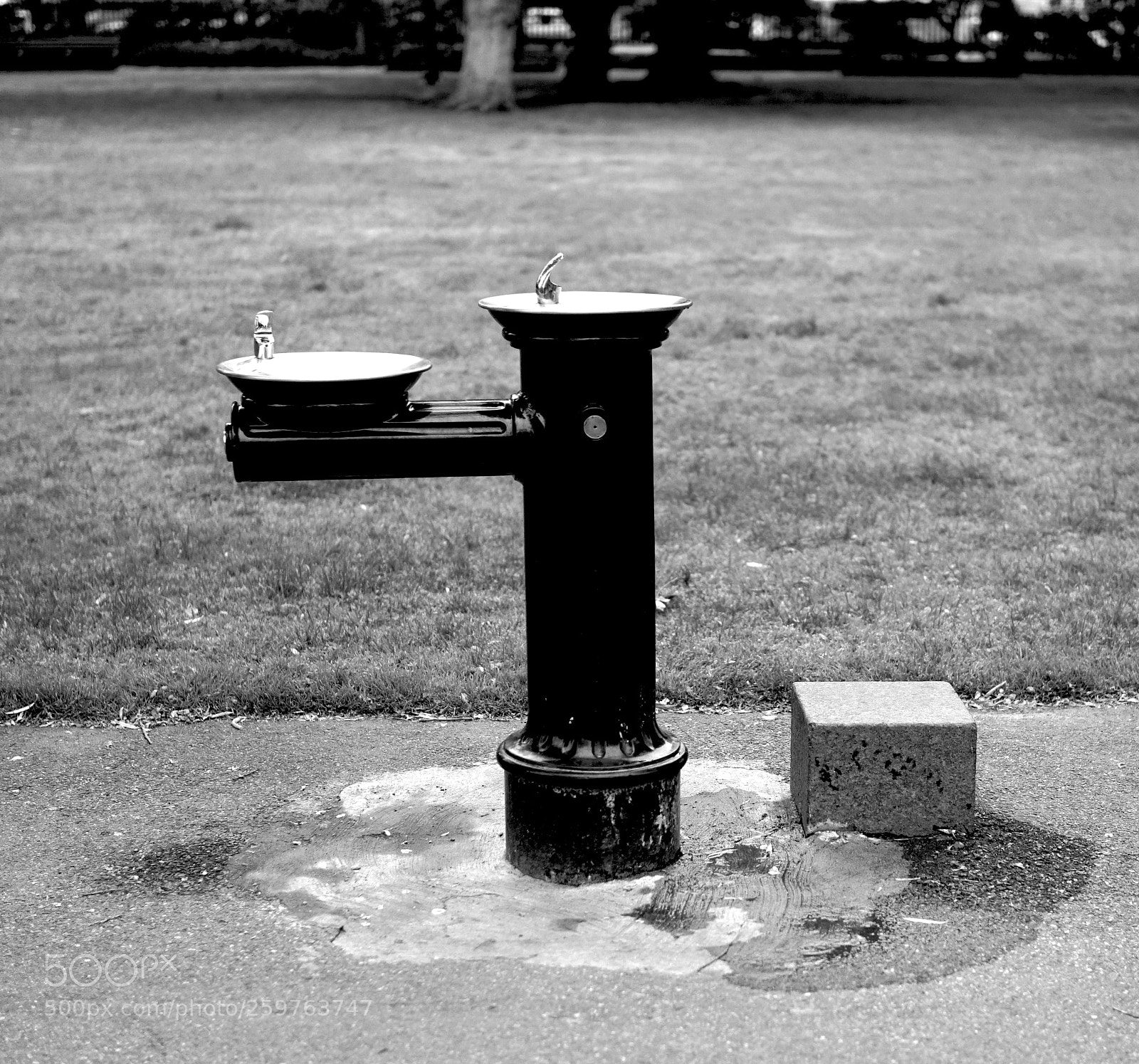 Sony a6500 sample photo. Water fountain photography