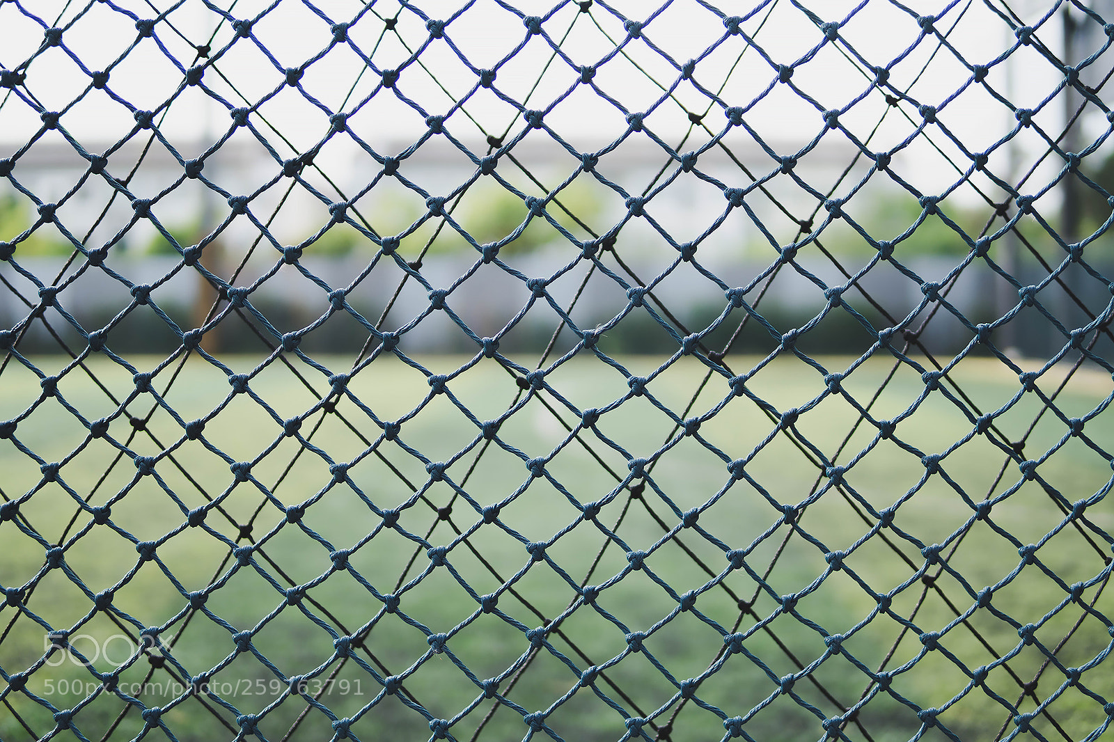Sony a6300 sample photo. The net like the photography