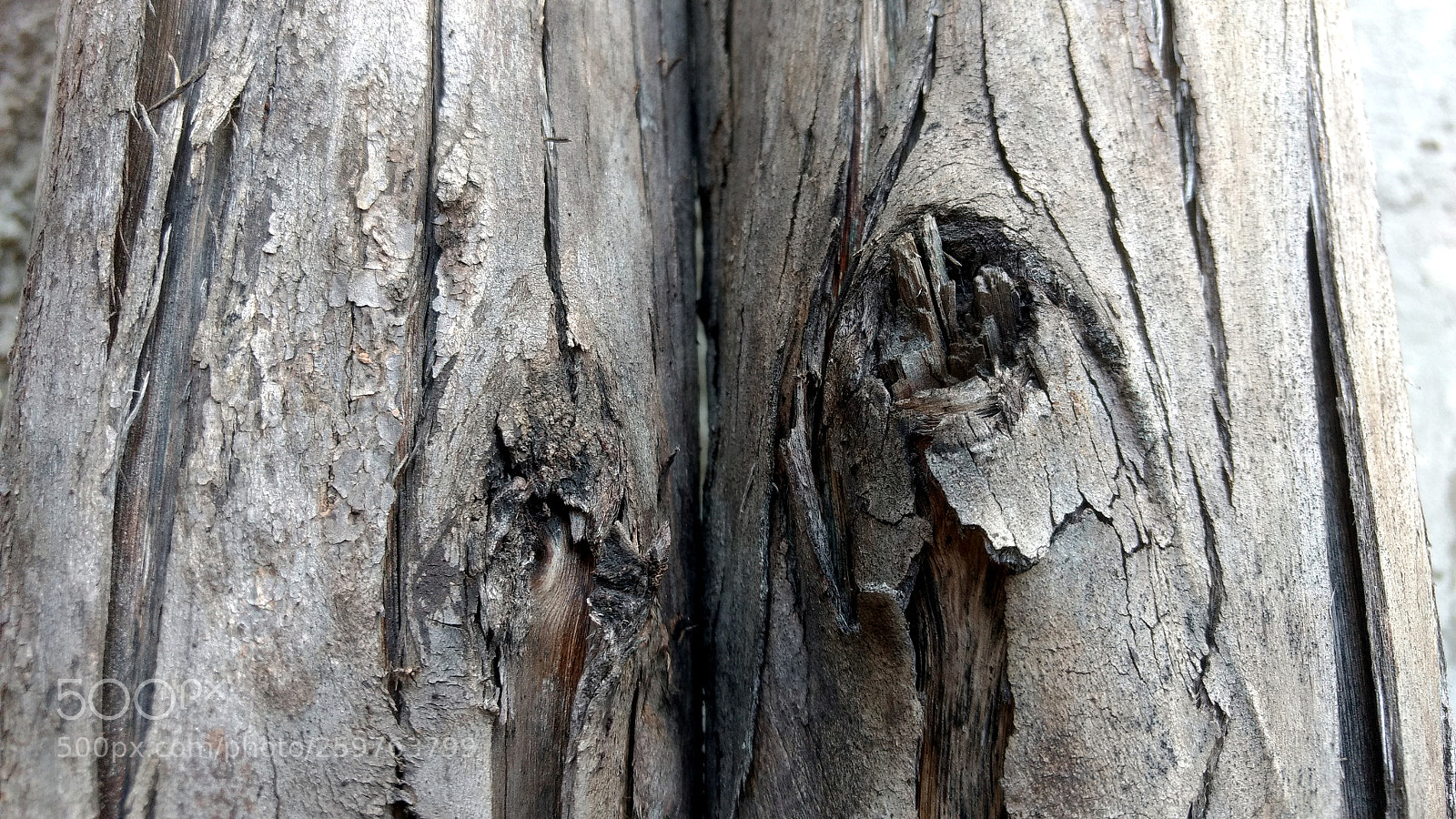 Motorola Moto G (4) sample photo. Woods photography