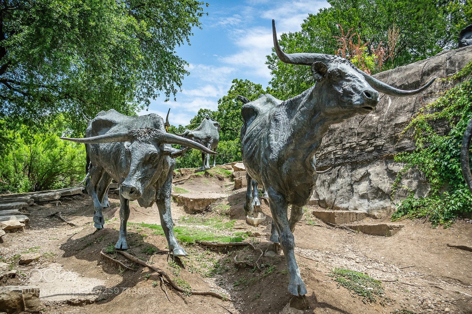 Nikon D5300 sample photo. Dallas arts photography