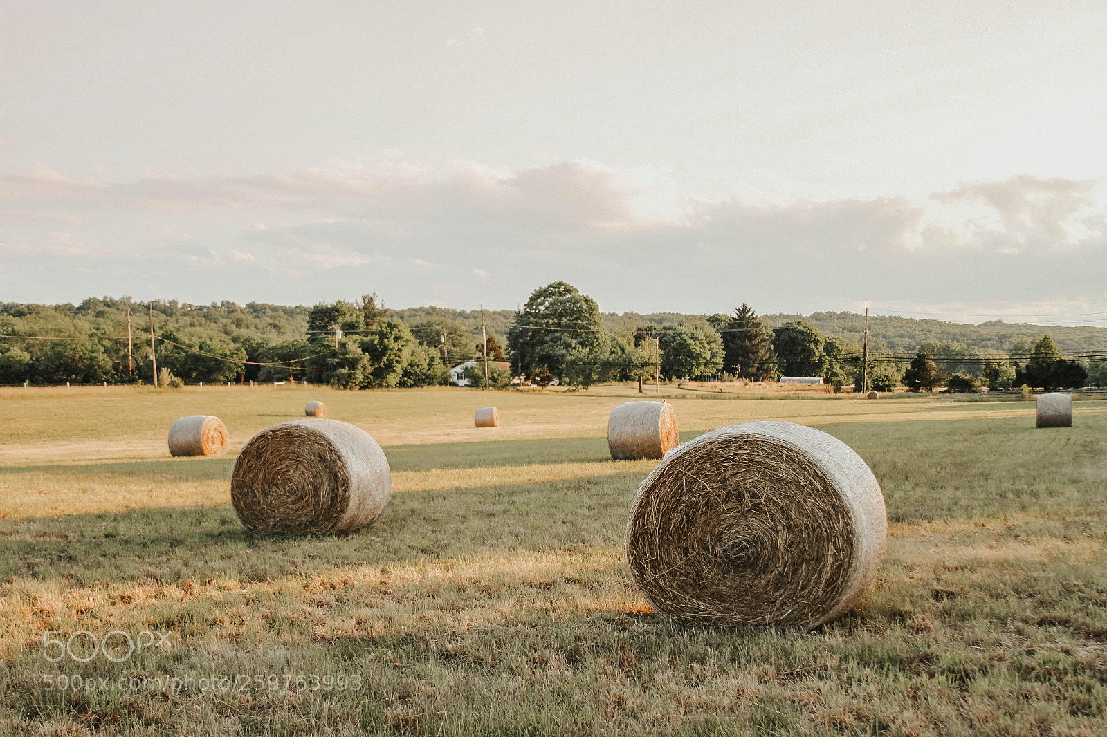 Canon EOS 7D sample photo. Hay bales photography