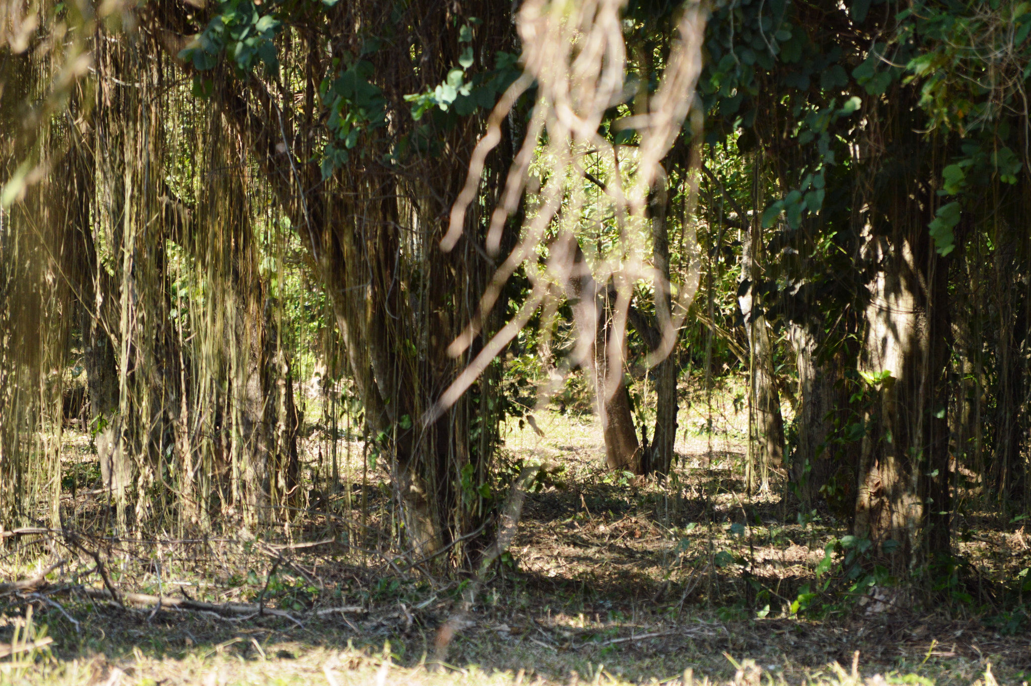 Nikon D3200 sample photo