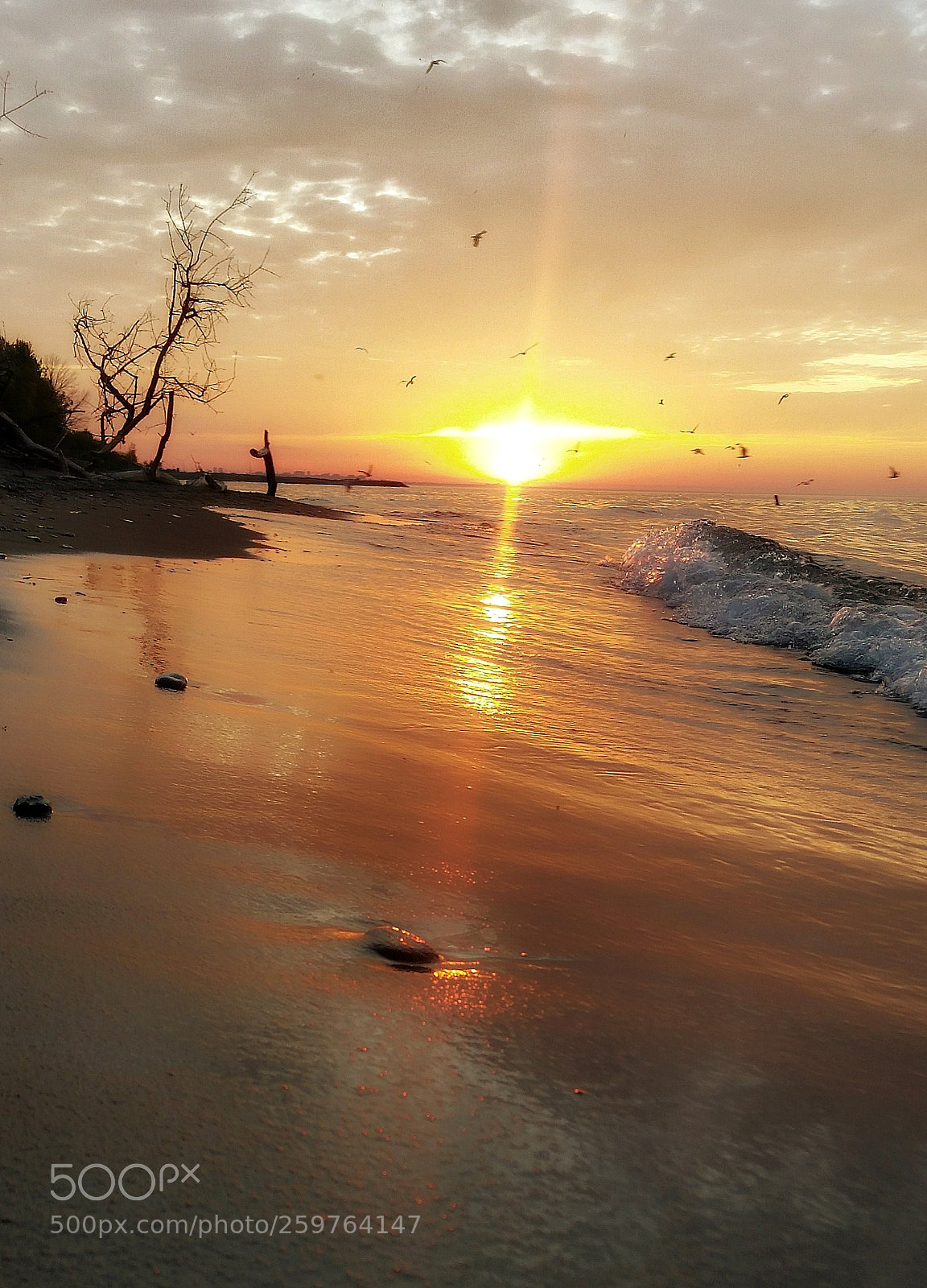 Samsung Galaxy S5 sample photo. Rolling wave photography