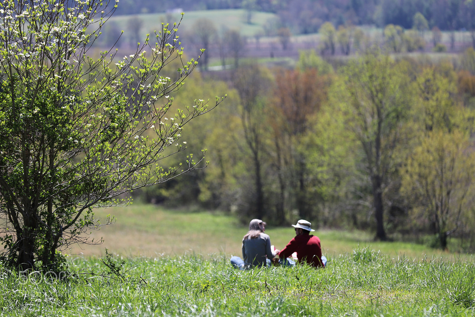 Canon EOS 6D Mark II sample photo. Spring love in the photography