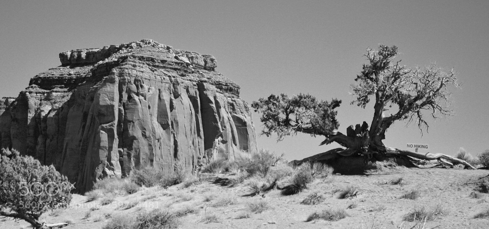 Canon EOS 40D sample photo. (b&w) photography