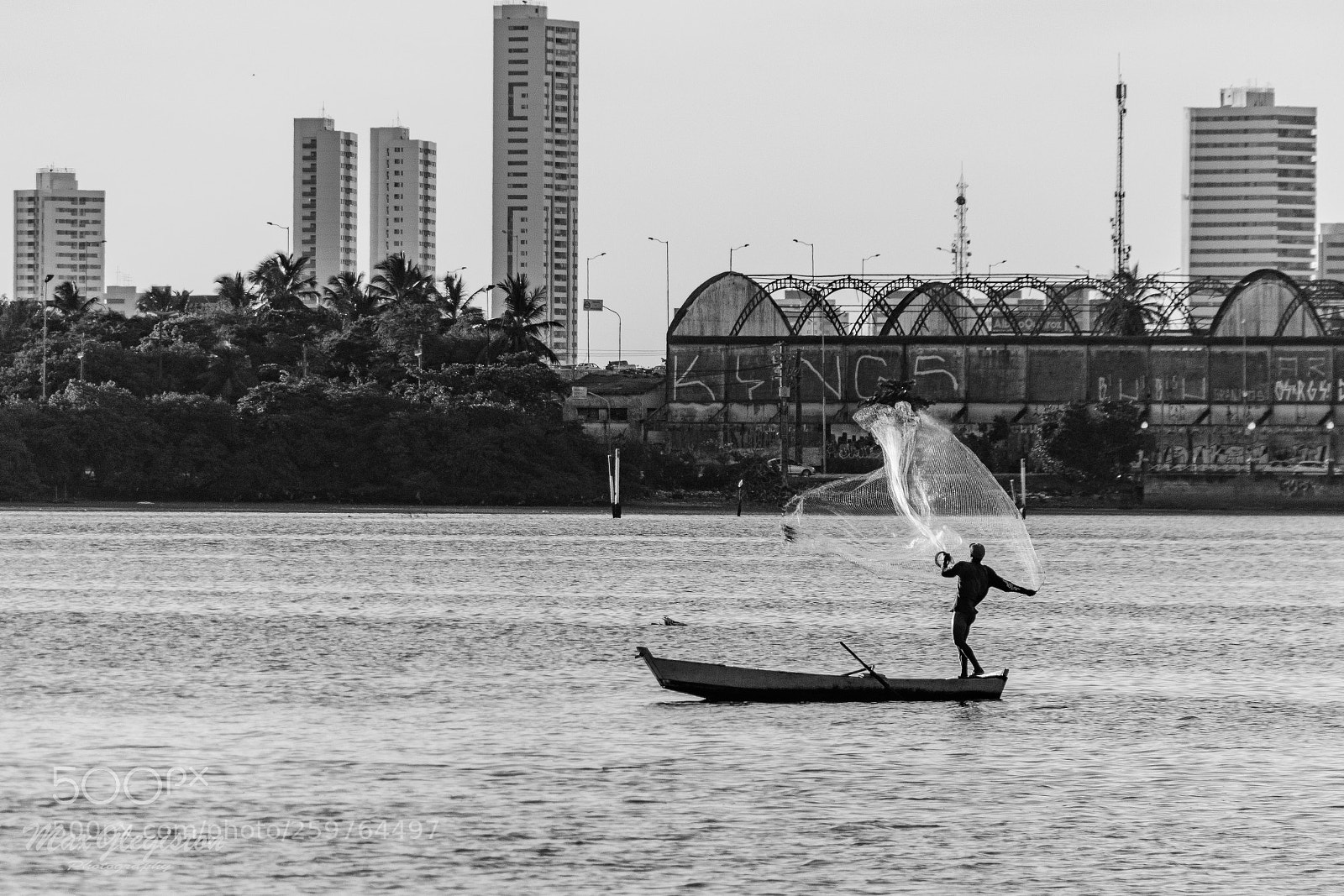 Nikon D7100 sample photo. Movimento... photography
