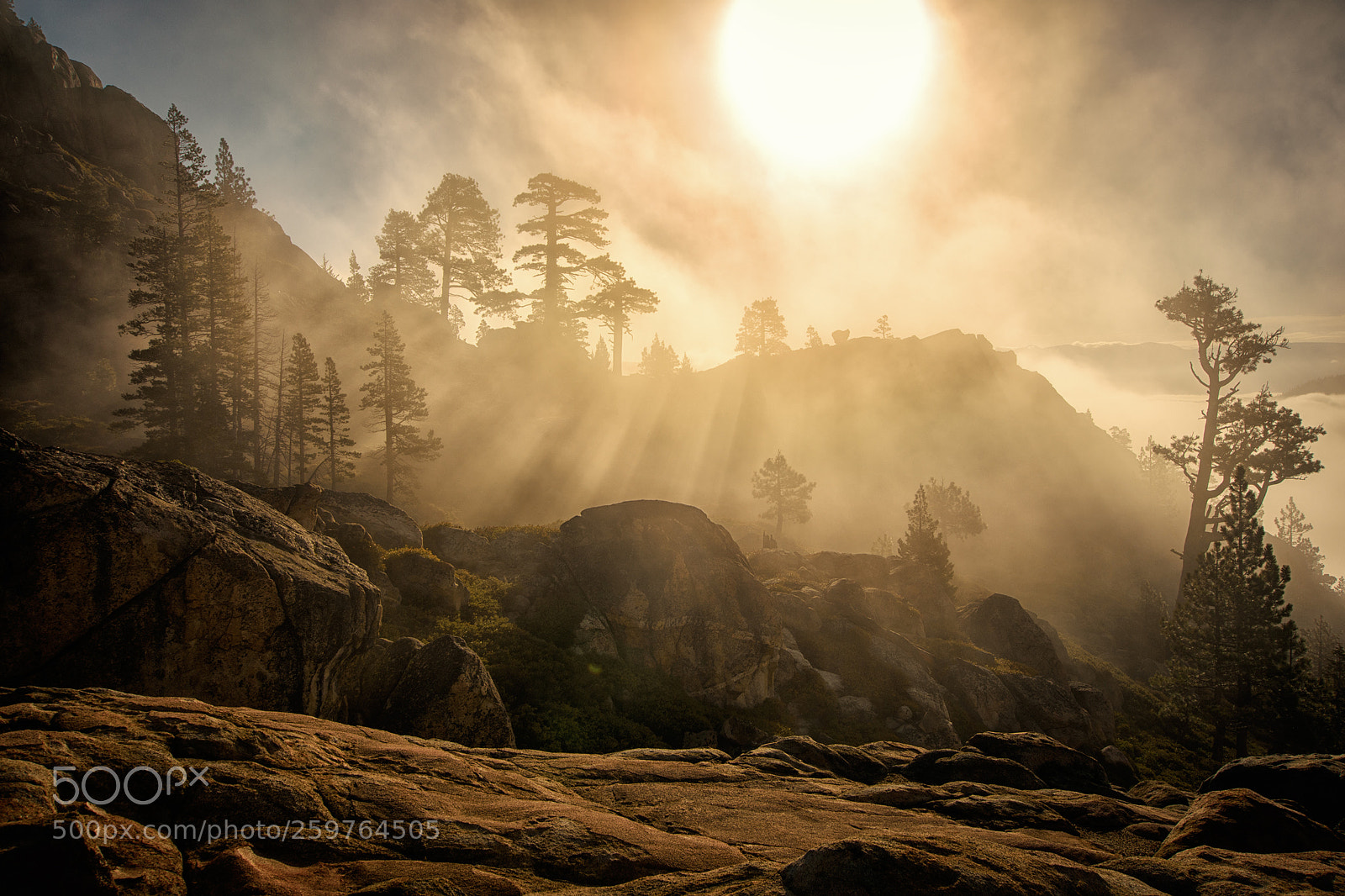 Nikon D7200 sample photo. Foggy morning at summit photography