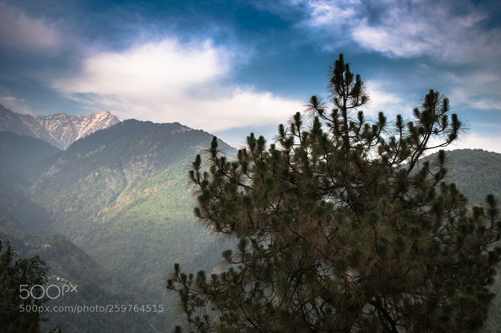 Nikon D3200 sample photo. Nature photography