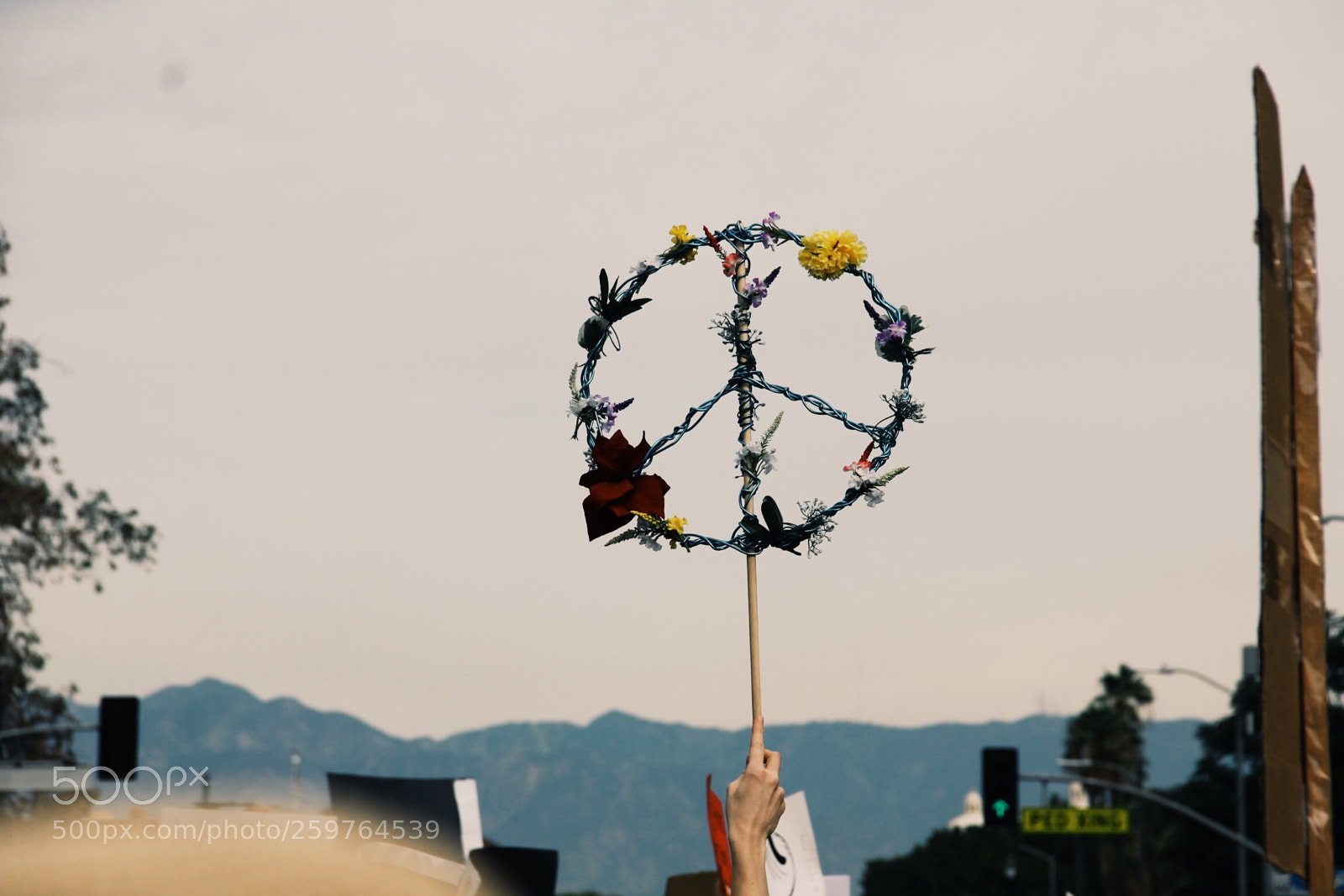 Canon EOS 550D (EOS Rebel T2i / EOS Kiss X4) sample photo. Processed with vsco with photography