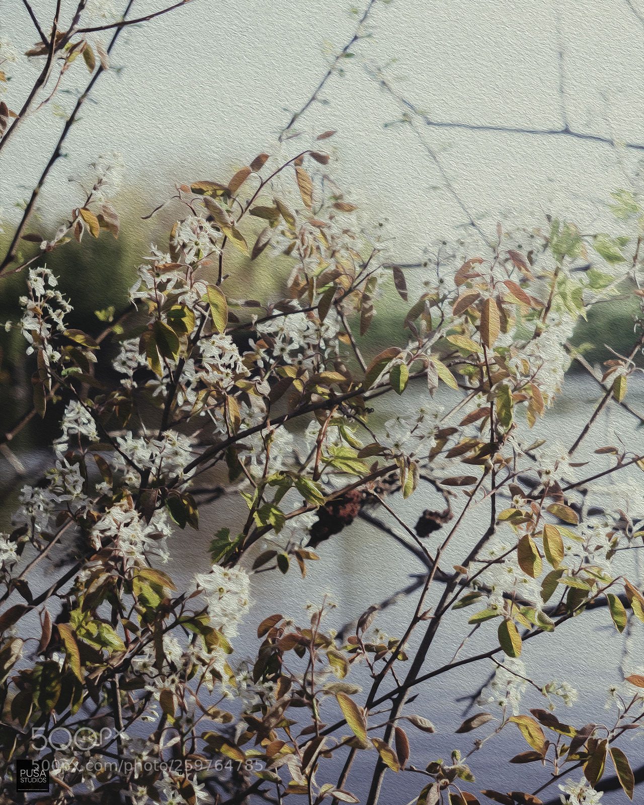 Sony a6000 sample photo. Moody spring: light theme photography