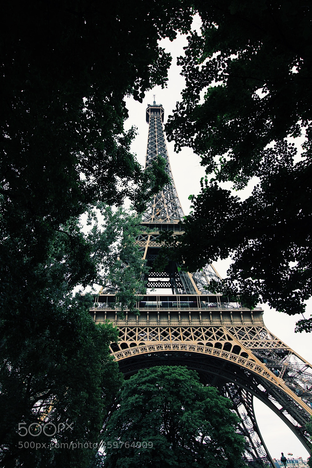 Canon EOS 550D (EOS Rebel T2i / EOS Kiss X4) sample photo. Processed with vsco with photography