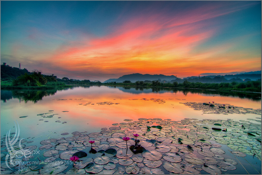Pentax K-3 sample photo. Daxi riverside park. sunrise photography
