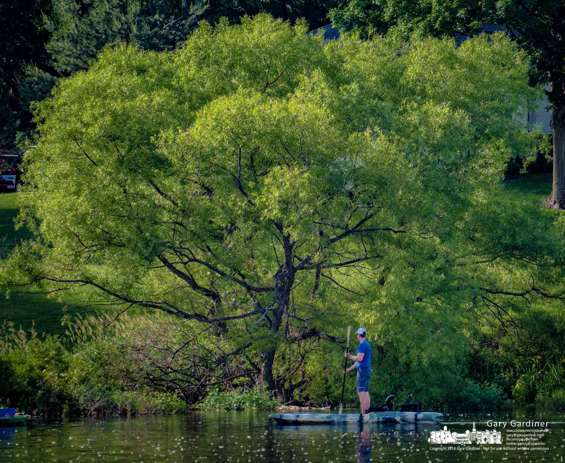 Panasonic Lumix DMC-G85 (Lumix DMC-G80) sample photo. Fishing the green shoreline photography