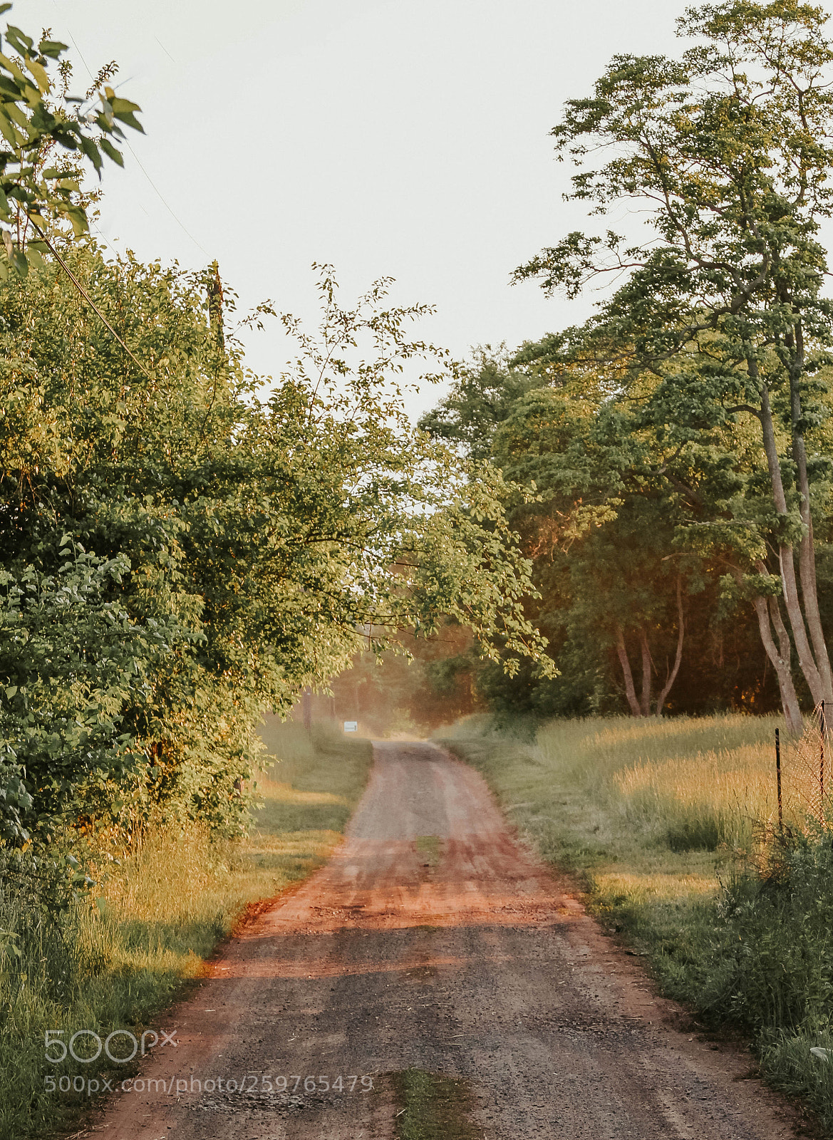 Canon EOS 7D sample photo. Dirt path photography