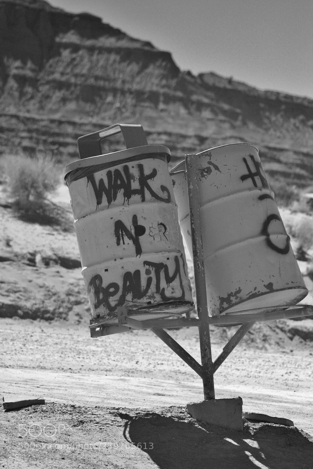 Canon EOS 40D sample photo. (b&w) photography