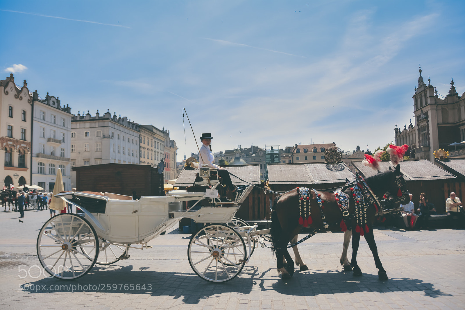 Nikon D7100 sample photo. Carriage photography