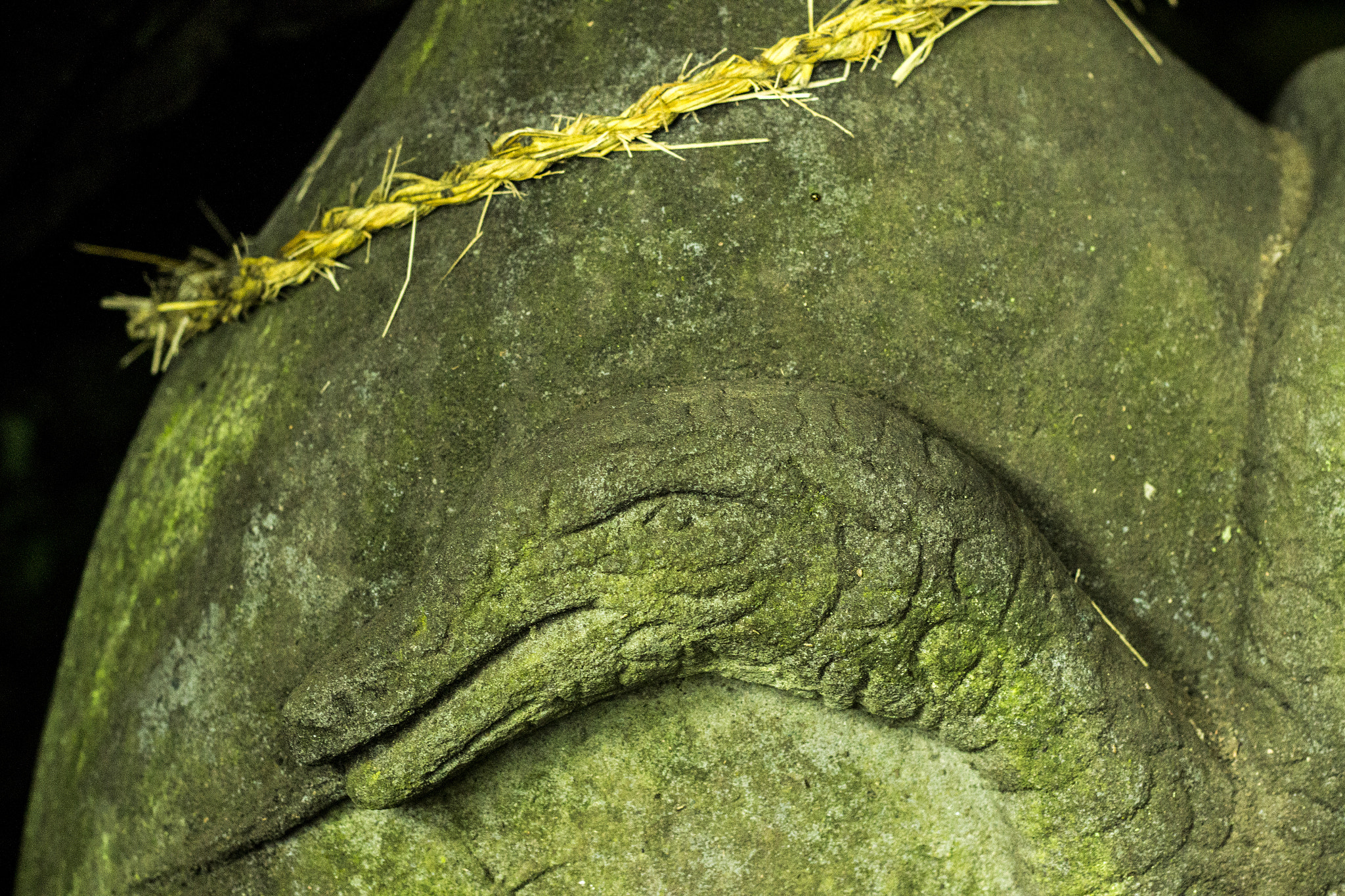 Canon EOS 600D (Rebel EOS T3i / EOS Kiss X5) sample photo. 蛇神 snake god photography
