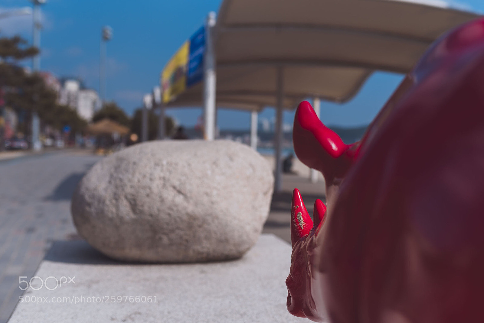 Nikon D750 sample photo. Untitled photography
