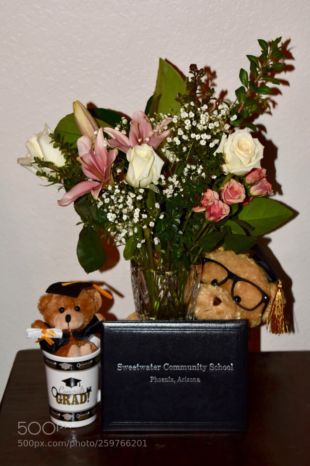 Nikon D3400 sample photo. Graduation time yahoo graduation photography