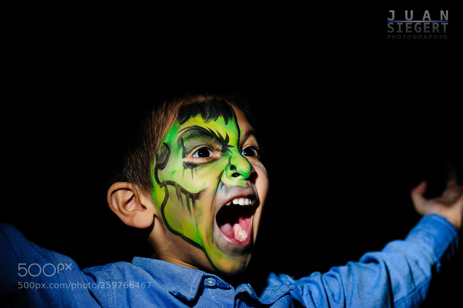 Nikon D700 sample photo. Untitled photography