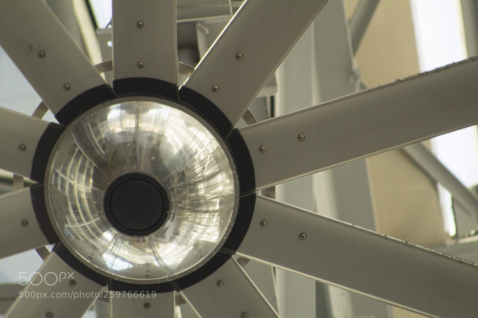 Canon EOS 1200D (EOS Rebel T5 / EOS Kiss X70 / EOS Hi) sample photo. Mirror in the fan. photography