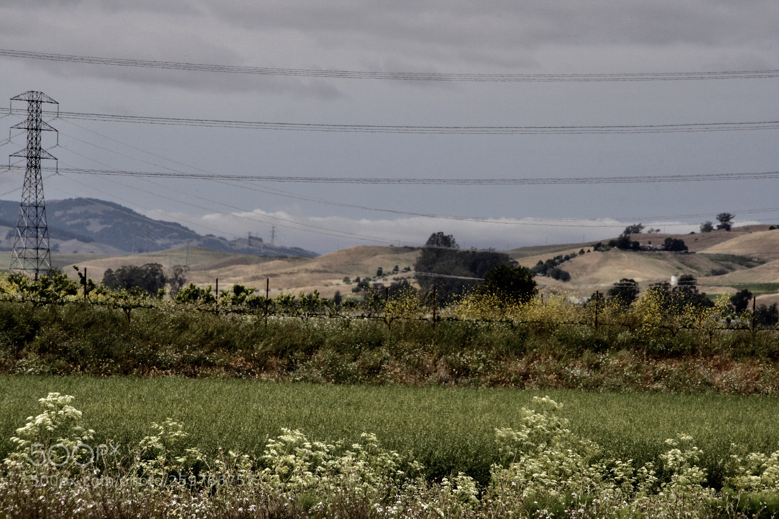 Canon EOS 1000D (EOS Digital Rebel XS / EOS Kiss F) sample photo. Incoming fog photography