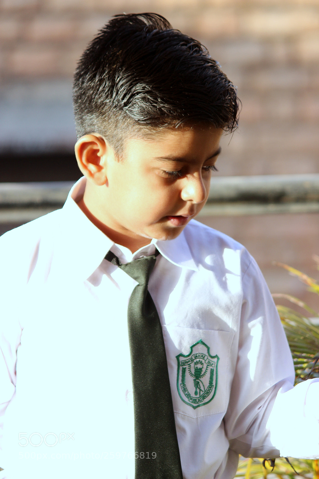 Canon EF-S 55-250mm F4-5.6 IS II sample photo. Schhol boy photography