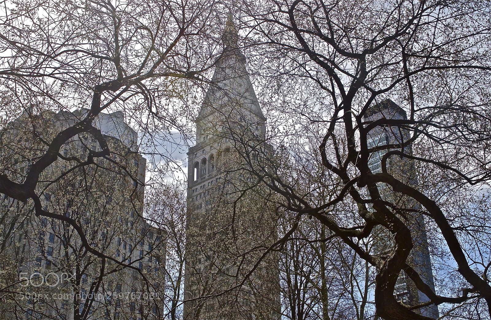 Nikon D3200 sample photo. Manhattan spring photography
