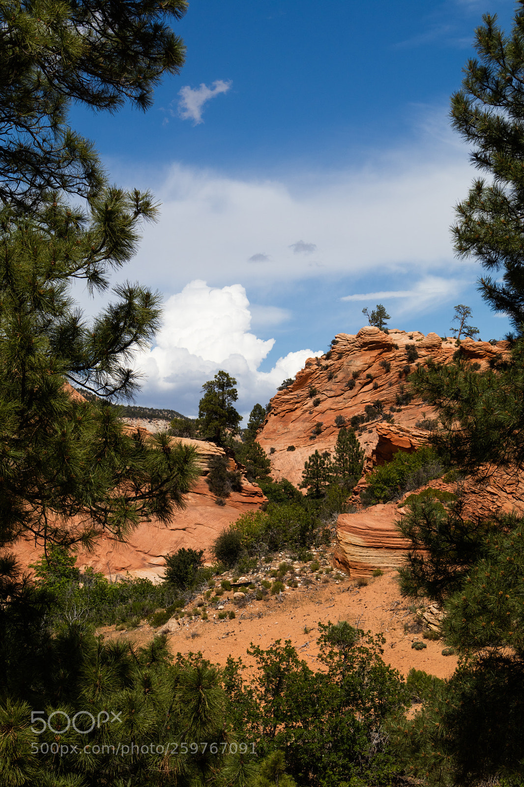 Canon EOS 80D sample photo. Somewhere in zion photography