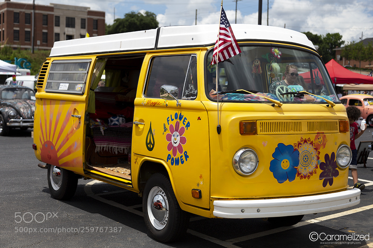 Canon EOS 6D sample photo. Bugs on the hooch photography