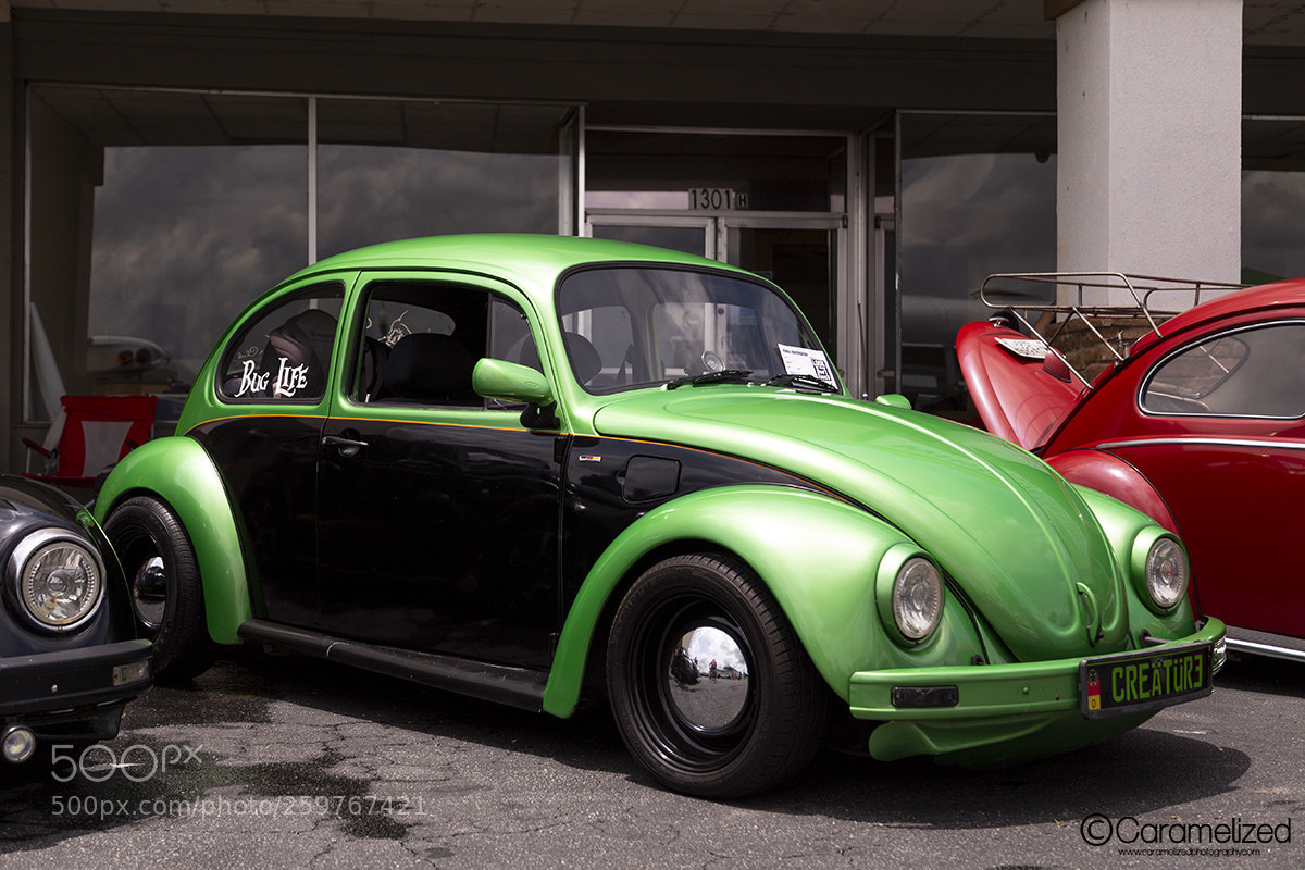 Canon EOS 6D sample photo. Bugs on the hooch photography