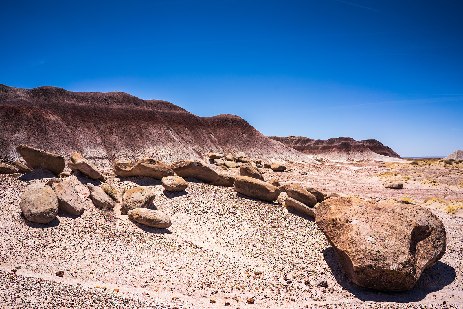 Sony a7 III sample photo. Painted desert photography