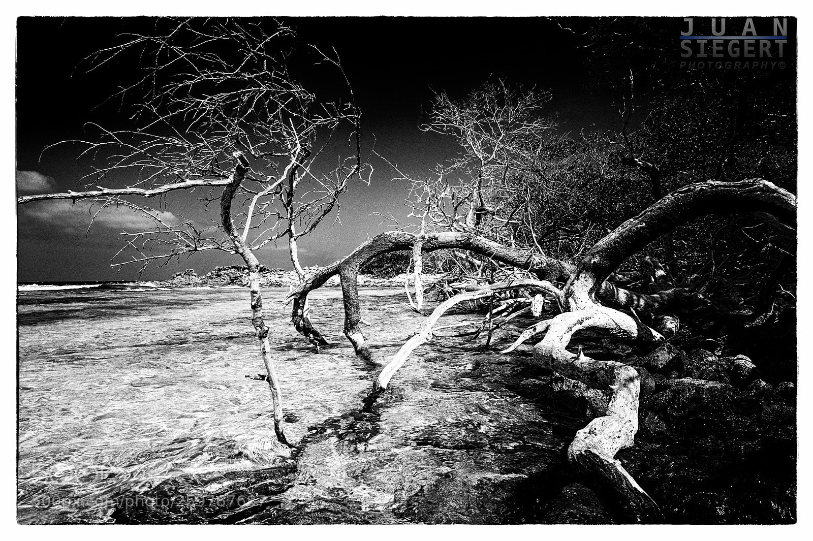 Nikon D700 sample photo. Beach... photography