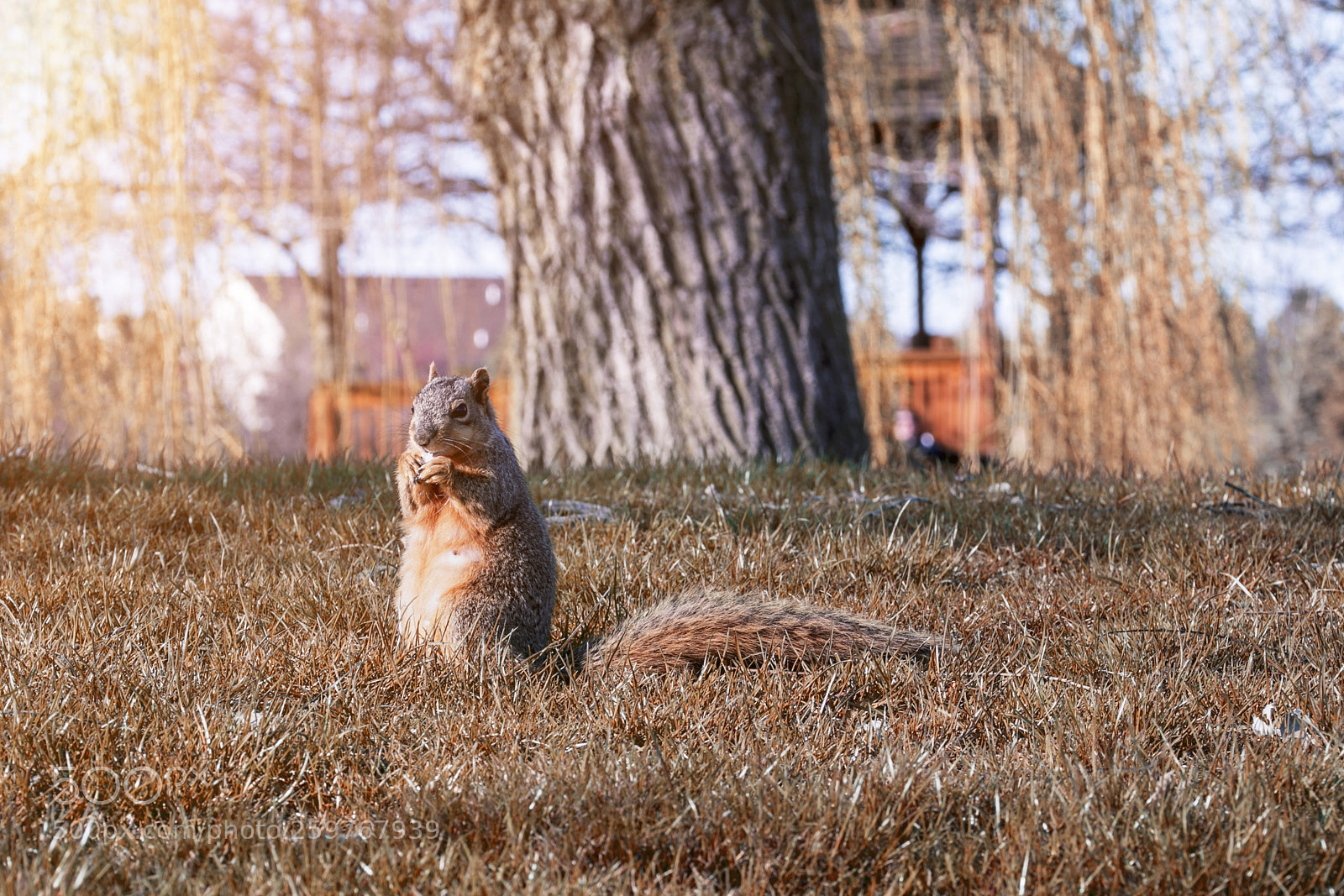 Canon EOS 70D sample photo. Img photography
